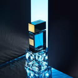 Gritti Venetia Ivy Collection Super Nova Unisexe 100ml