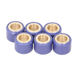 Galet de variateur ATHENA S41000030P005