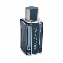 Salvatore Ferragamo Ferragamo Intense Leather 100ml Hommes