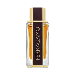 Salvatore Ferragamo Ferragamo Spicy Leather Hommes 100ml