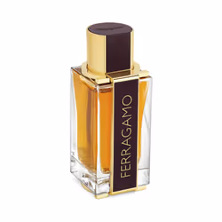 Salvatore Ferragamo Ferragamo Spicy Leather Hommes 100ml