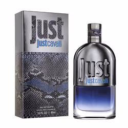 Just Cavalli Pour Lui eau de toilette vaporisateur 90 ml