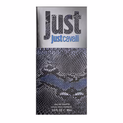 Just Cavalli Pour Lui eau de toilette vaporisateur 90 ml
