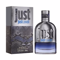 Just Cavalli Pour Lui eau de toilette vaporisateur 30 ml