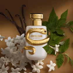 Roberto Cavalli JRC25004B parfum Femmes 50 ml - Vue supplémentaire 3