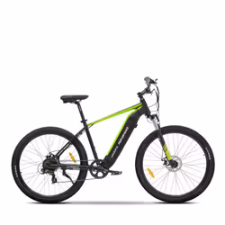 Argento e-Mobility Performance Noir, Vert Aluminium Taille unique 73,7 cm (29") 25 kg Lithium-Ion (Li-Ion)