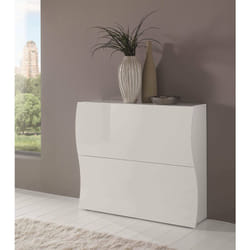 Dmora Étagère à chaussures moderne, Made in Italy, avec 2 portes battantes, Étagère à chaussures d'entrée, 101x27h82 cm, couleur blanc brillant, avec