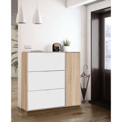 Dmora - Meuble à chaussures Provo, Meuble à chaussures avec 4 portes, Meuble bas polyvalent avec 5 étagères, Range-chaussures moderne, cm 106x22h115,