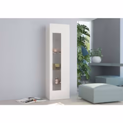 VITRINE AVEC UNE PORTE: Vitrine au design moderne, structurée avec une seule porte avec détail entre les étagères internes, e ...