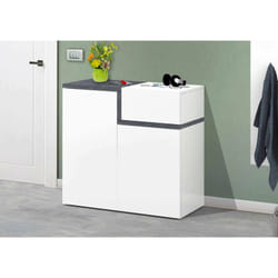 Dmora - Range-chaussures moderne, Made in Italy, avec 2 portes et 1 abattant, Range-chaussures d'entrée, Meuble polyvalent, 80x40h80 cm, Blanc