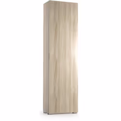 ARMOIRE POLYVALENTE 1 PORTE - Armoire linéaire avec 1 porte et 7 étagères, Colonne pour entrée ou salle de bain, Étagère à ch ...
