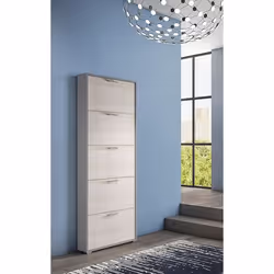 Dmora Meuble à chaussures moderne avec 5 portes battantes Meuble à chaussures dentrée 67x18h184 cm couleur Mélèze