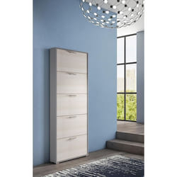 Dmora Meuble à chaussures moderne avec 5 portes battantes Meuble à chaussures dentrée 67x18h184 cm couleur Mélèze