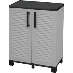 Dmora - Cabinet polyvalent extérieure ou interne, armoire basse avec 2 portes et 1 étagère en polypropylène, 100% Made in Italy, 68x37h90 cm, couleur