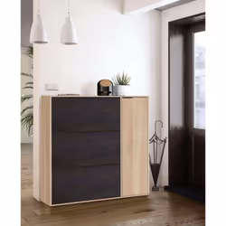 Description générale Meuble à chaussures moderne et peu encombrant avec 4 portes, conçu en chêne et noir. Idéal pour ranger j ...