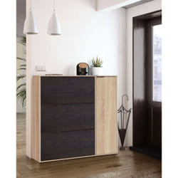 Dmora - Meuble à chaussures Provo, Meuble à chaussures avec 4 portes, Meuble bas polyvalent avec 5 étagères, Range-chaussures moderne, cm 106x22h115,