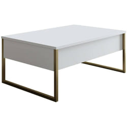Table basse Dgiagnon, Table basse, Porte-revues pour canapé, Etagère de salon, 90x60h40 cm, Blanc et Or - Dmora