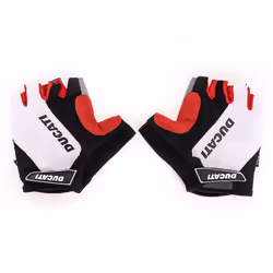 Ducati DUC-GLW-EBK-WR gant de sport