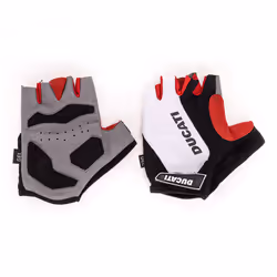 Ducati DUC-GLW-EBK-WR gant de sport