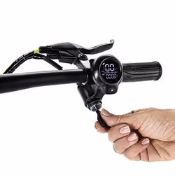 Argento e-Mobility Active Bike 25 km/h Noir 10,4 Ah