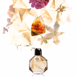 Francesca Dell'Oro Ambrosine 100 ml Femmes - Vue supplémentaire 5