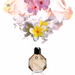 Francesca Dell'Oro Lullaby 100 ml Femmes - Vue supplémentaire 5
