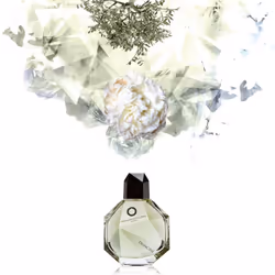 Francesca Dell'Oro Francine 100ml Femmes - Vue supplémentaire 5