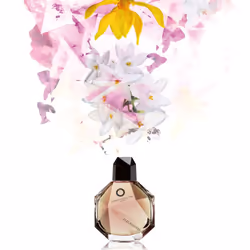 Francesca Dell'Oro Fleurdenya 100ml Femmes - Vue supplémentaire 5