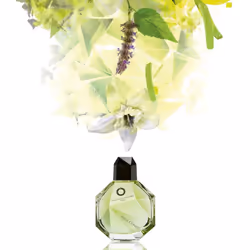 Francesca Dell'Oro Voile Confit 100 ml Unisexe - Vue supplémentaire 5