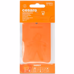 Mr&Mrs Fragrance Cesare diffuseur Voiture Papier