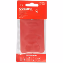 Mr&Mrs Fragrance Cesare diffuseur Voiture Papier