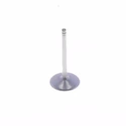 Soupape d'admission ATHENA VI-485209T