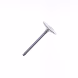 Soupape d'admission ATHENA VI-485209T