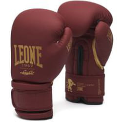 Protège-tibias Kick-Boxing Leone DNA full