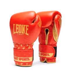 Gants de boxe Leone DNA