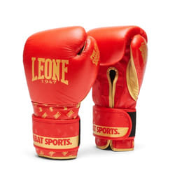 Gants de boxe Leone DNA