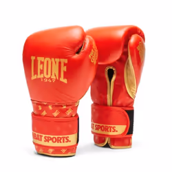 Gants de boxe Leone DNA