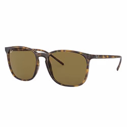 Ray-Ban RB4387, Adulte, Unisexe, Carré, Tortue, Verres non polarisés, Nylon