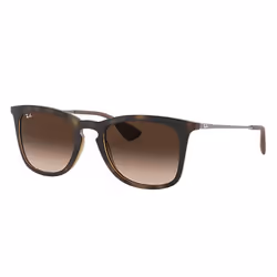 Ray-Ban RB4221 Brun Dégradé + Havane, Adulte, Unisexe, Carré, Carré, Cerclé, Tortue