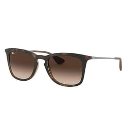 Ray-Ban RB4221 Brun Dégradé + Havane