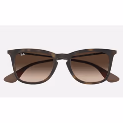 Ray-Ban RB4221 Brun Dégradé + Havane