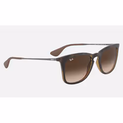 Ray-Ban RB4221 Brun Dégradé + Havane
