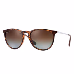 Ray-Ban Erika Classic Verres polarisés Verres polarisés Brun Dégradé + Havane, Adulte, Unisexe, Ovale, Ovale, Cerclé, Marron, ...