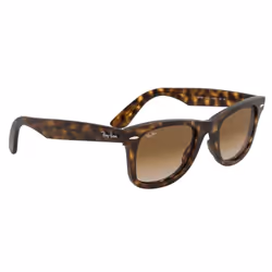 Ray-Ban Wayfarer Ease Marron clair Dégradé + Havane - Vue supplémentaire 4