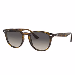 Ray-Ban RB4259, Adulte, Unisexe, Carré, Tortue, Verres non polarisés, Propionate