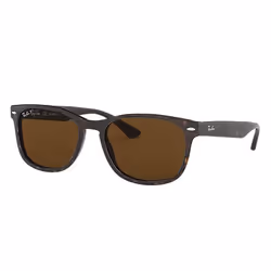 Ray-Ban RB2184, Adulte, Unisexe, Carré, Tortue, Verres polarisés, Acétate