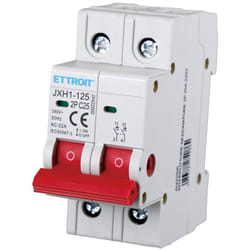 Ettroit - interrupteur-sectionneur 2P 25A 220V JX422500