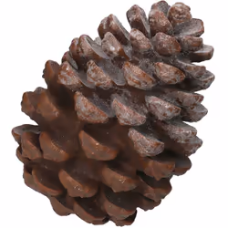 Pomme de pin en résine avec paillettes grises cm18x17,5h19 Caractéristiques: Dimensions: Largeur= 18cm Profondeur = 17,5 cm H ...