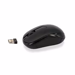 Ewent EW3223 souris Ambidextre RF sans fil Optique 1000 DPI