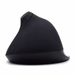 Ewent EW3158 souris Droitier RF sans fil 1600 DPI